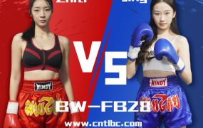 BW-FB28-Zhiti VS Jing